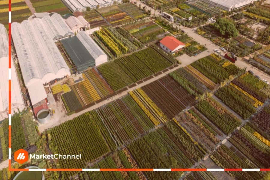 Innovación desde Chile: tecnología y producción de plantas como aporte al cambio climático