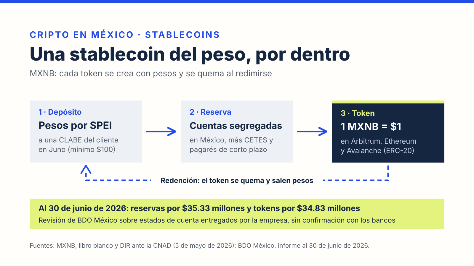 Cómo funciona MXNB, la stablecoin del peso: depósito de pesos por SPEI, reserva en cuentas segregadas y valores del gobierno, token en blockchain y redención; reservas por 35.33 millones y tokens por 34.83 millones al 30 de junio de 2026