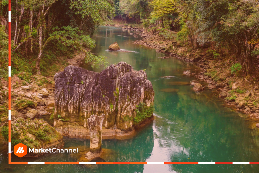 Microsoft invierte en la restauración de la selva tropical para compensar sus emisiones de carbono